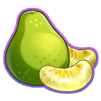 Honey Pomelo Icon