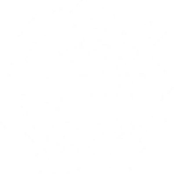 Party Time, Everyone!