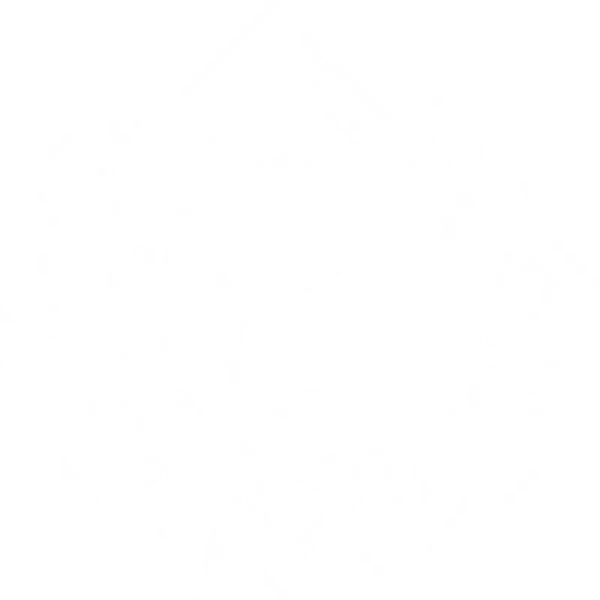 Chaotic Inspiration