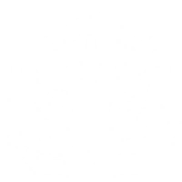 Flank Defense