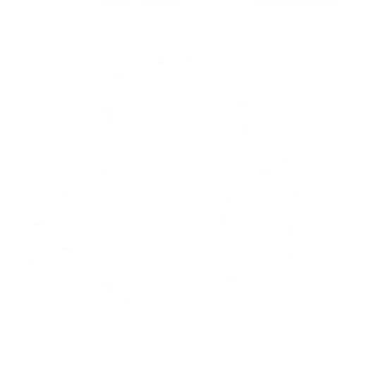Holy Resolve