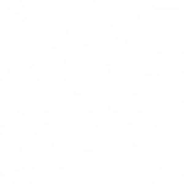The Hunt Begins